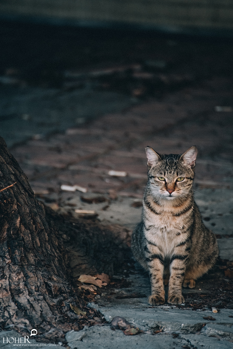 2026.02.16 sNaP(每日一拍)