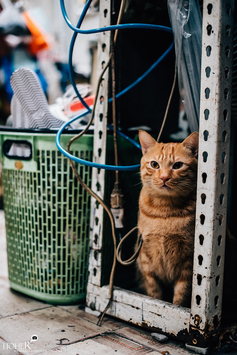 2026.02.08 sNaP(每日一拍)