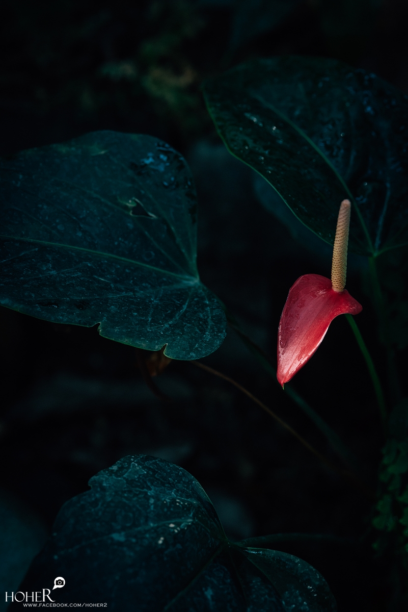 2026.01.28 sNaP(每日一拍)