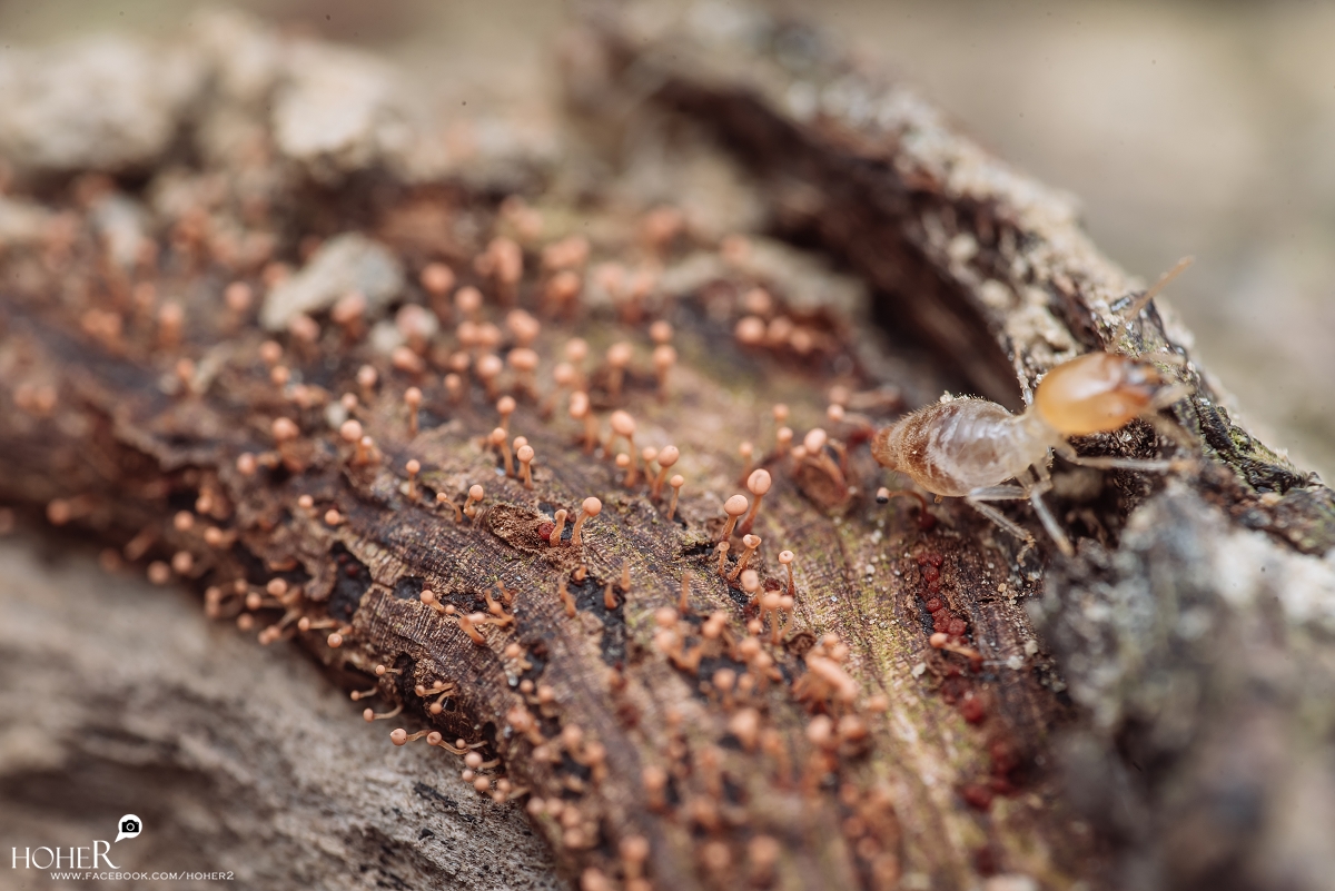 2026.02.11 sNaP(每日一拍)