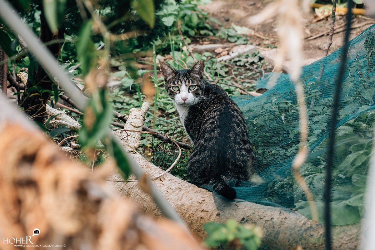 2026.01.27 sNaP(每日一拍)