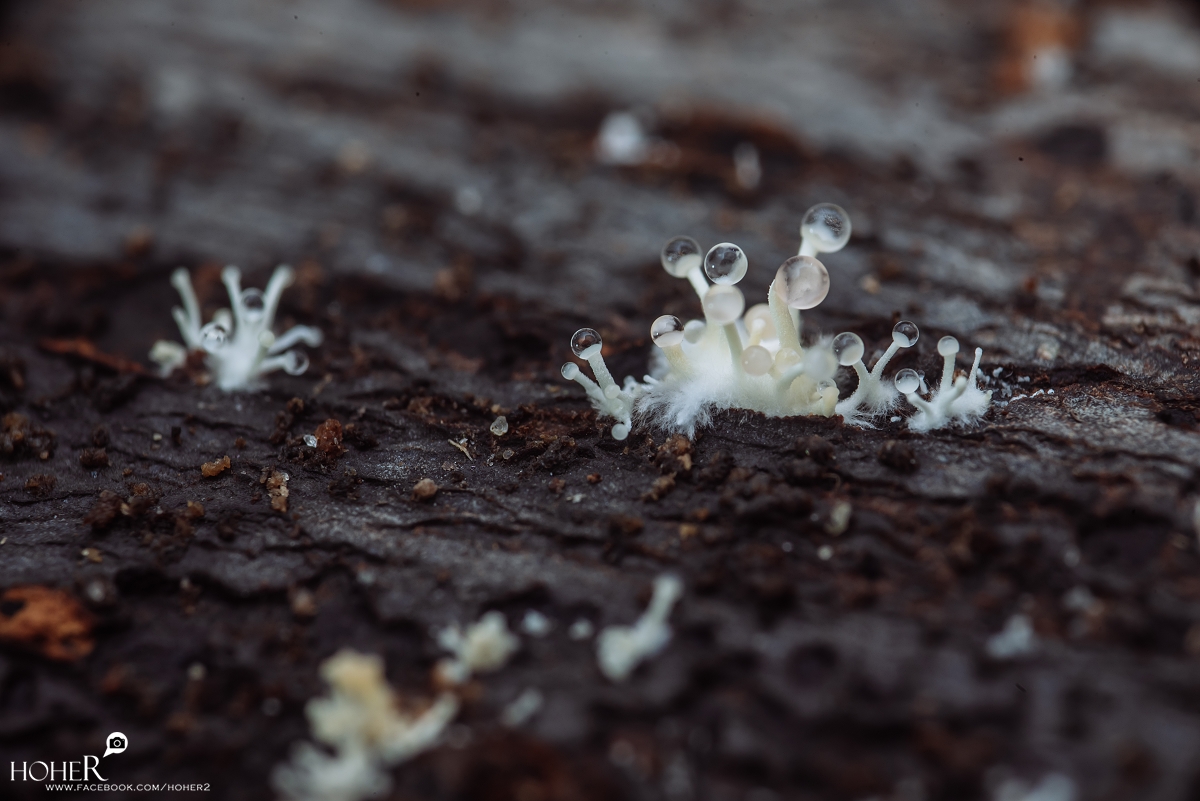 2026.01.30 sNaP(每日一拍)