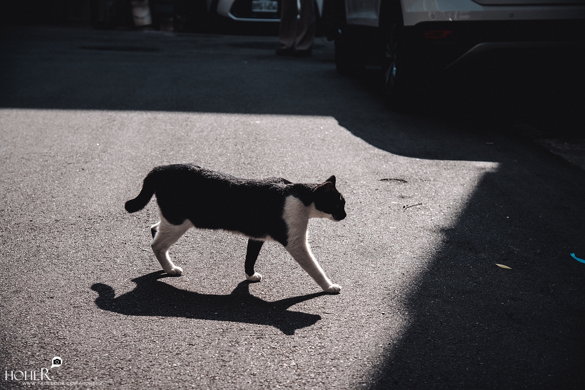 2026.02.03 sNaP(每日一拍)