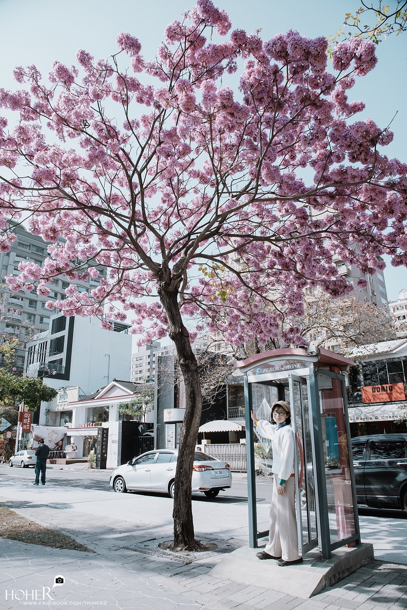 2026.02.10 sNaP(每日一拍)