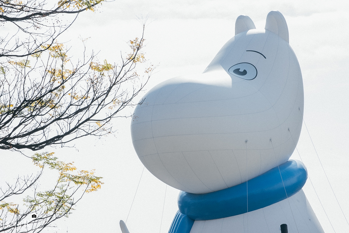 2026.02.05 sNaP(每日一拍)