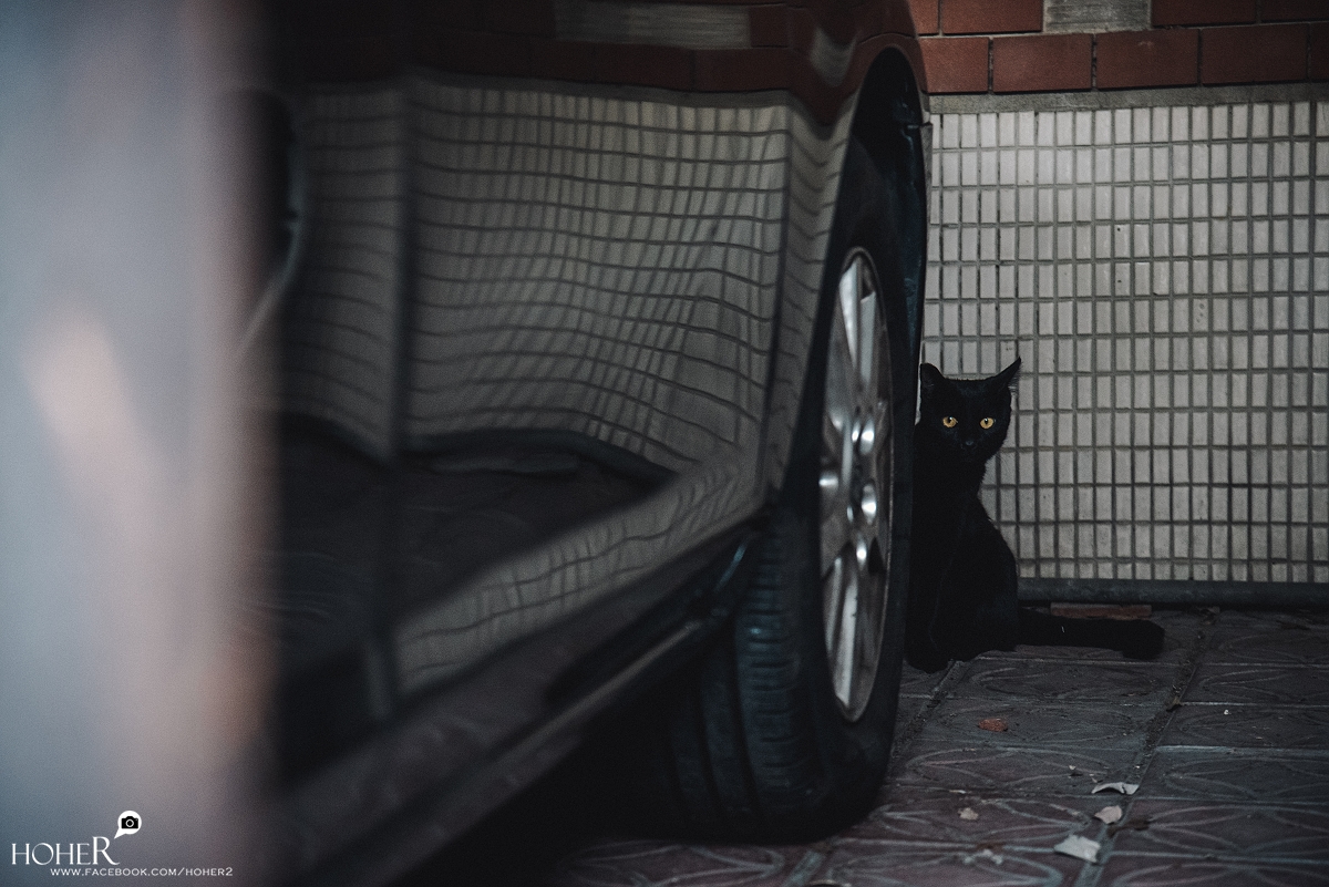 2025.02.14 sNaP(每日一拍)