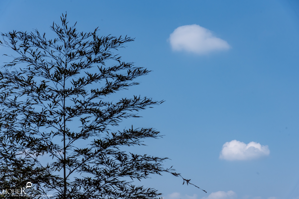 2026.02.19 sNaP(每日一拍)