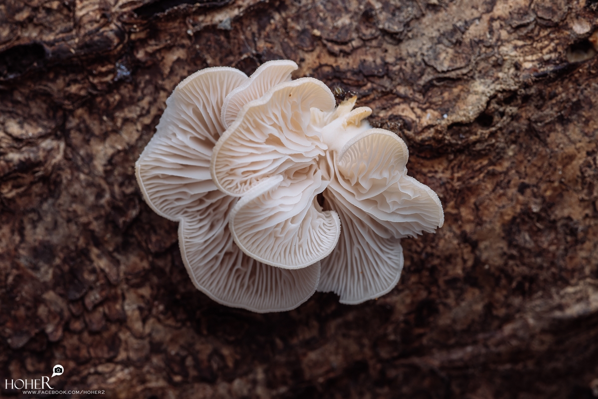 2026.03.16 sNaP(每日一拍)