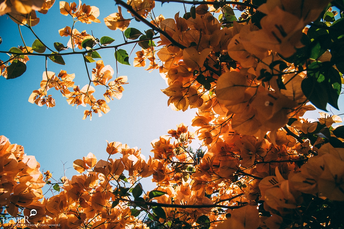 2026.03.18 sNaP(每日一拍)