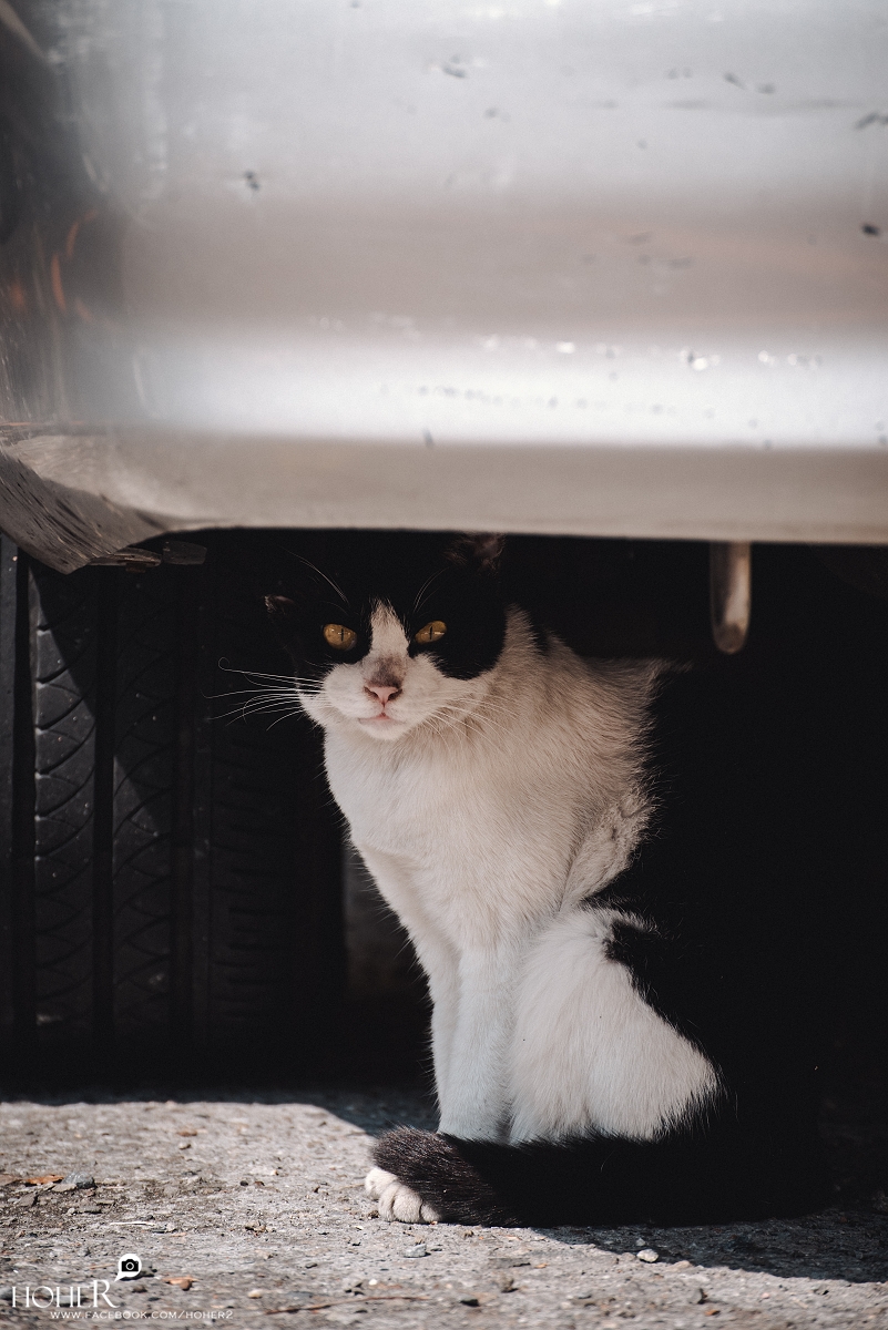 2026.02.21 sNaP(每日一拍)