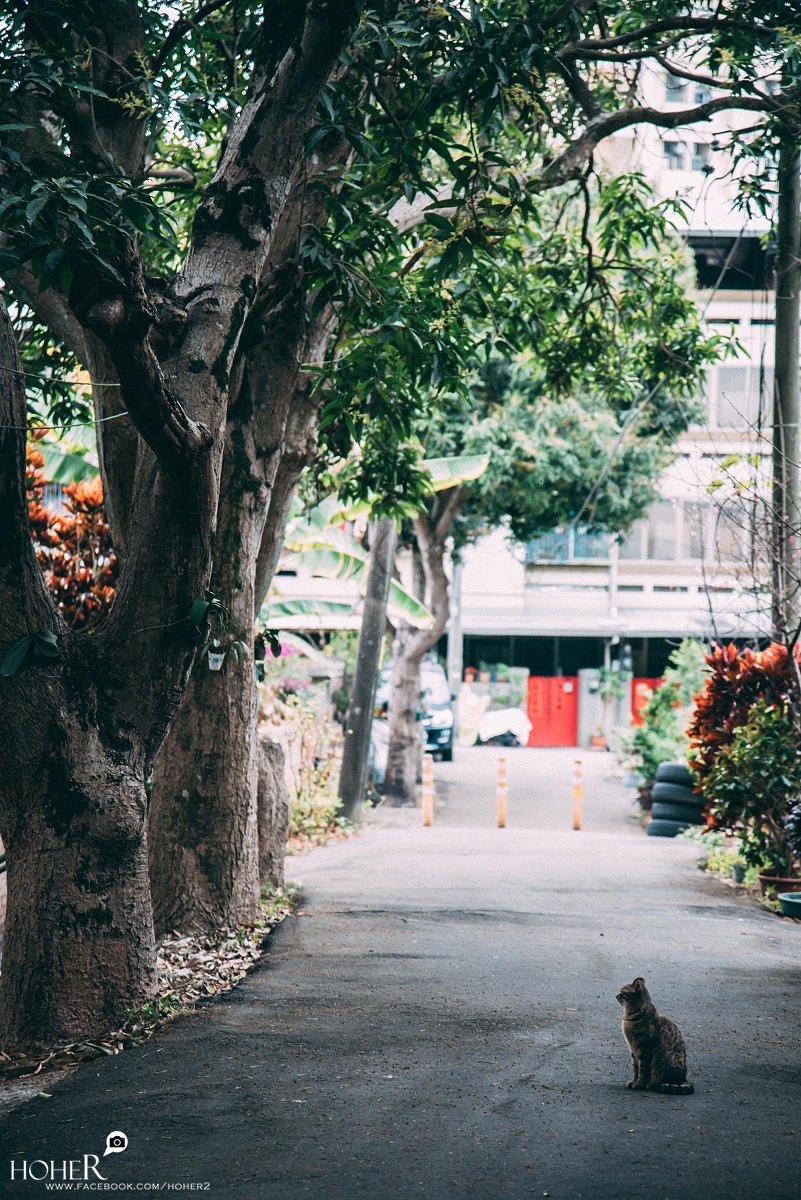 2026.02.27 sNaP(每日一拍)