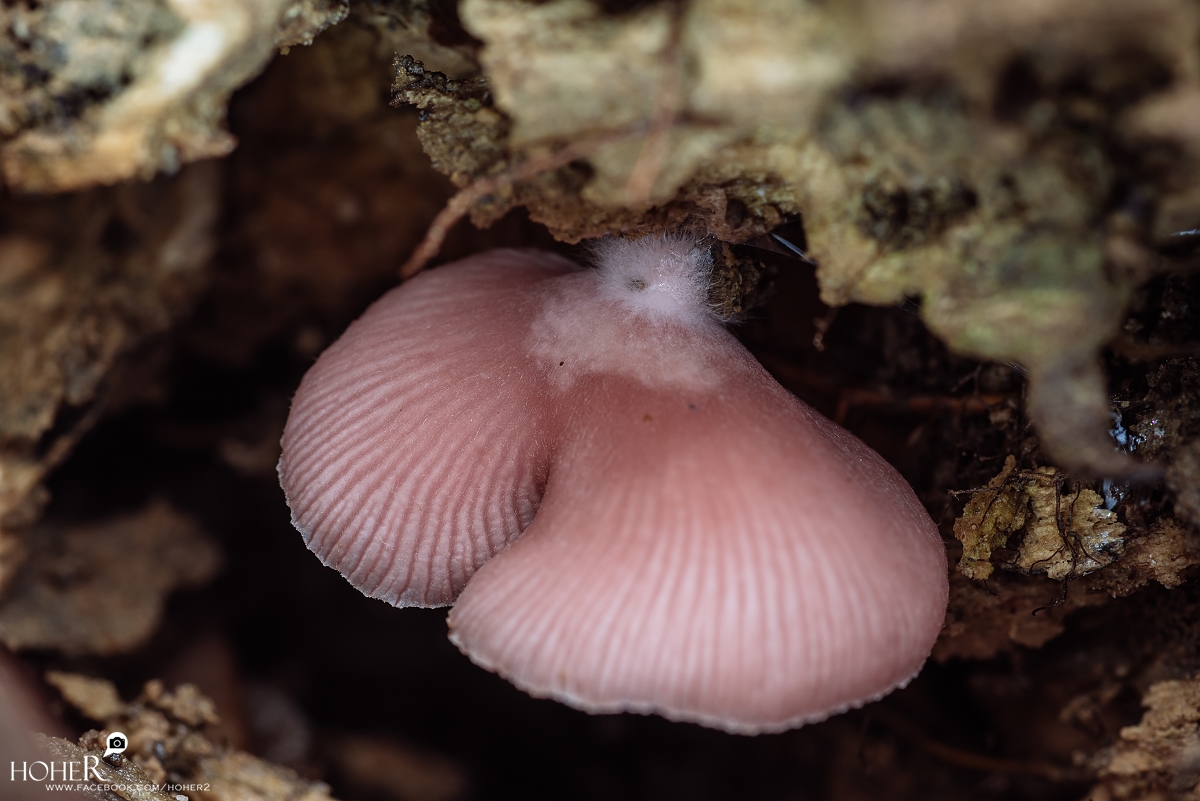 2026.03.05 sNaP(每日一拍)