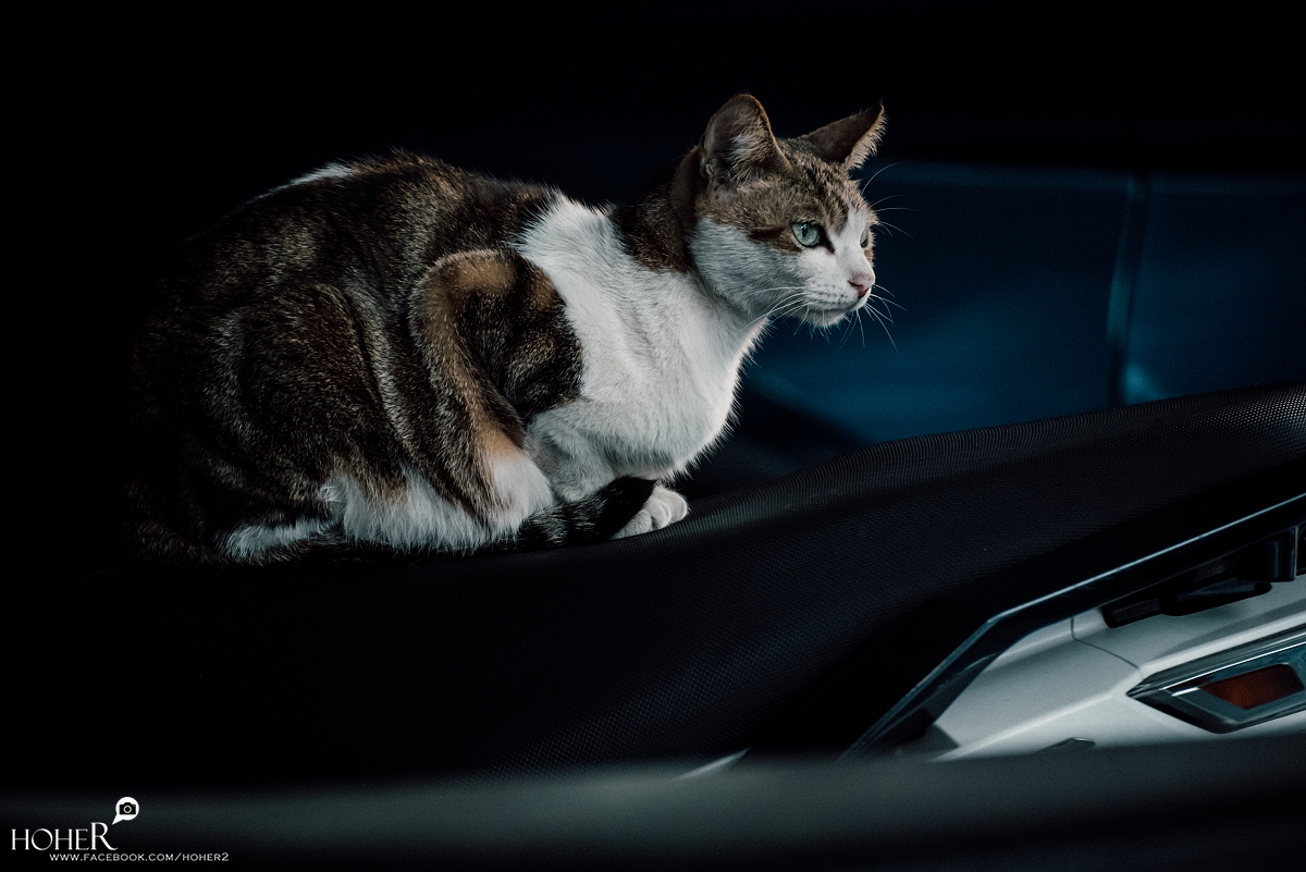 2026.02.18 sNaP(每日一拍)