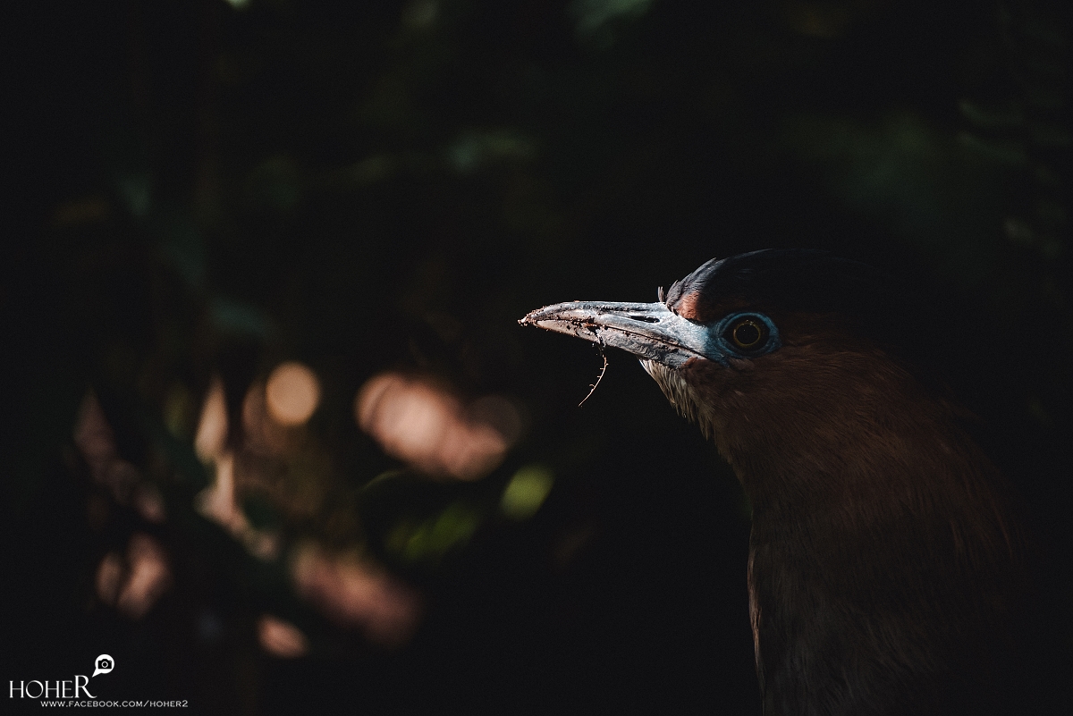 2026.02.23 sNaP(每日一拍)