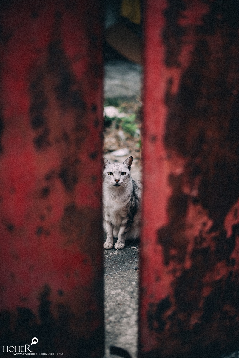 2026.03.01 sNaP(每日一拍)