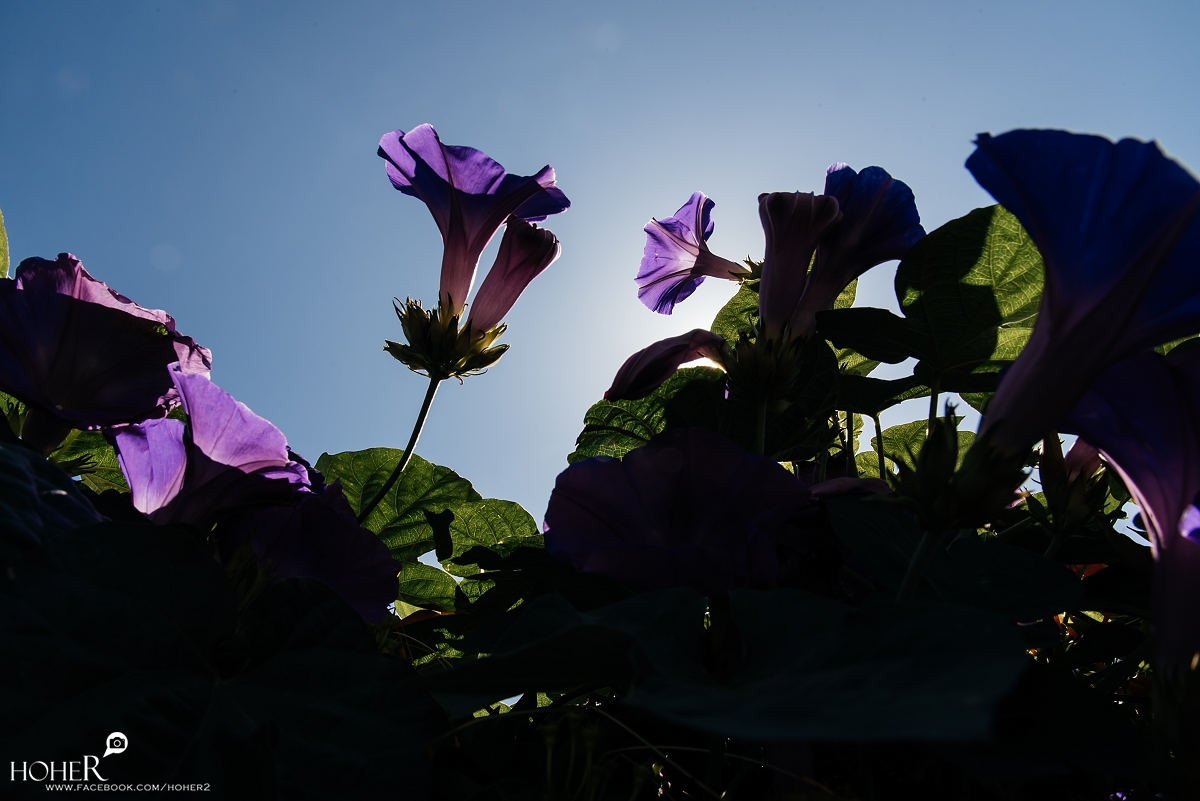 2023.03.11 sNaP(每日一拍)