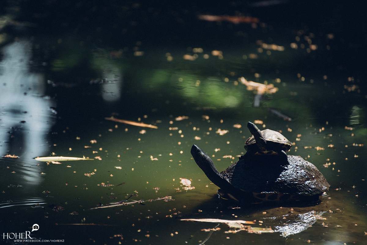 2026.03.17 sNaP(每日一拍)