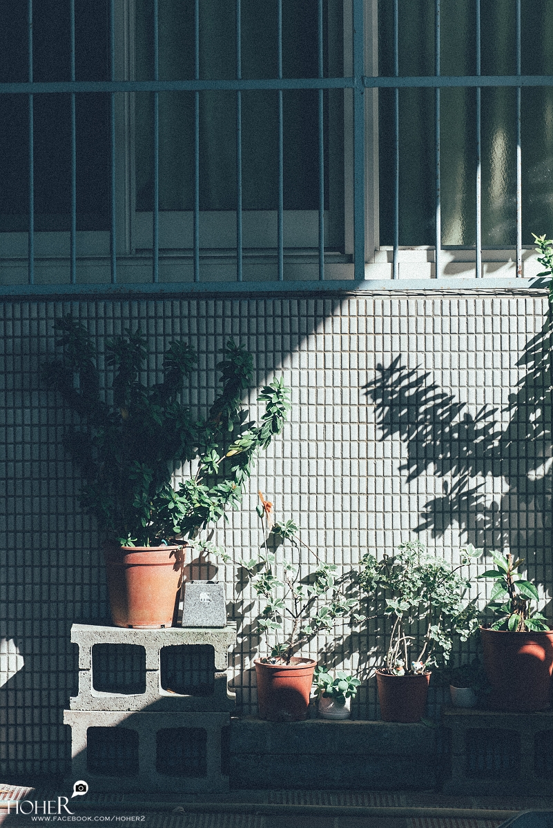 2026.03.06 sNaP(每日一拍)