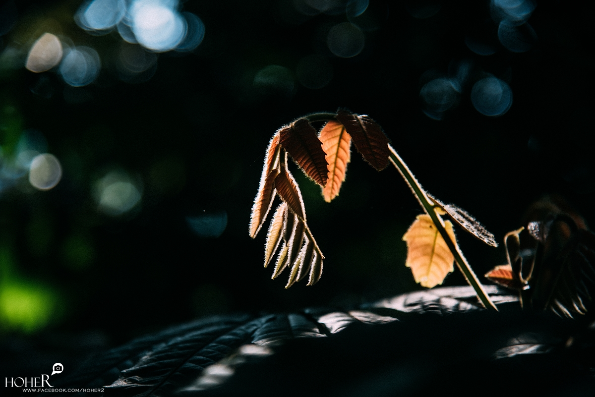 2026.03.23 sNaP(每日一拍)