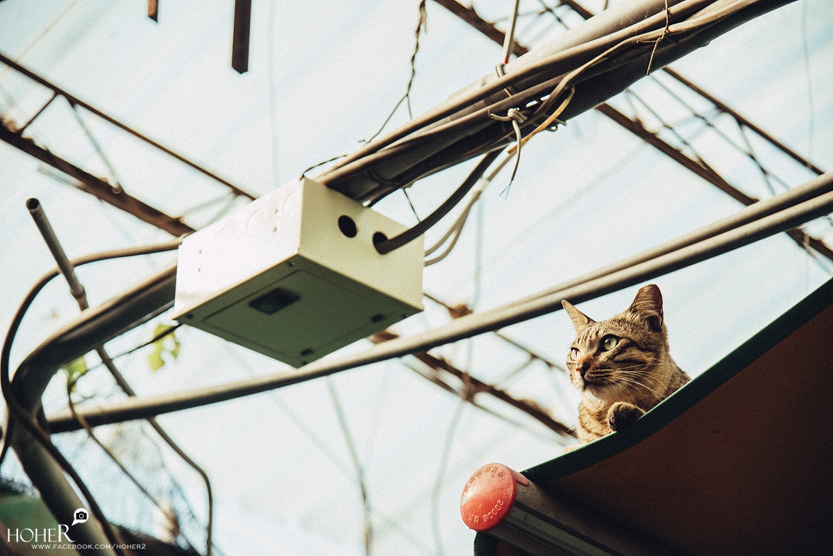 2026.02.22 sNaP(每日一拍)