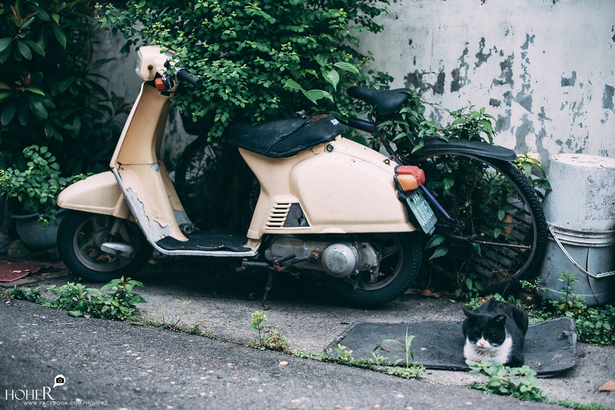 2026.03.19 sNaP(每日一拍）