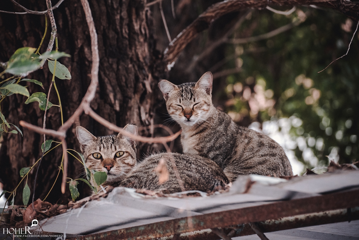 2026.02.24 sNaP(每日一拍)