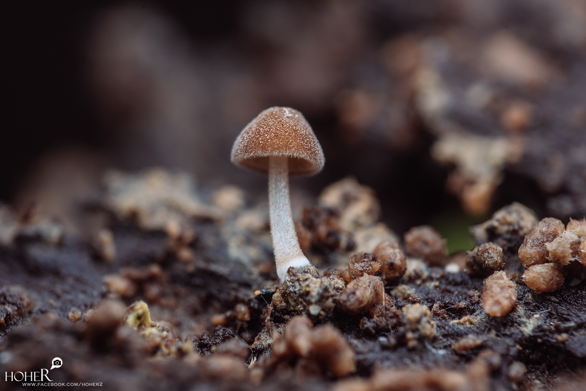 2026.03.04 sNaP(每日一拍)