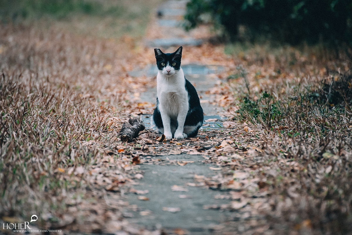 2026.03.03 sNaP(每日一拍)