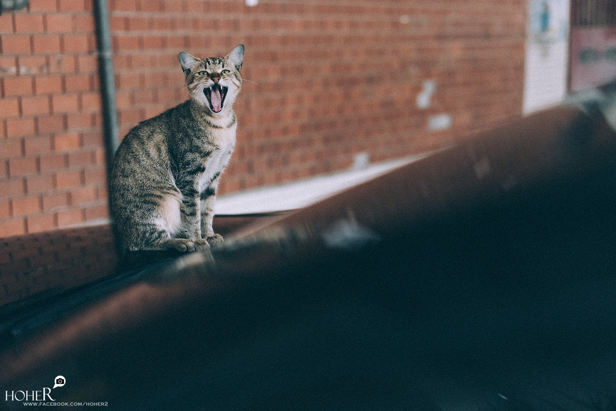 2026.03.09 sNaP(每日一拍)