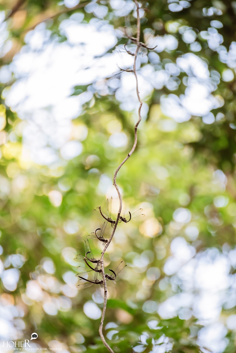 2026.03.12 sNaP(每日一拍)