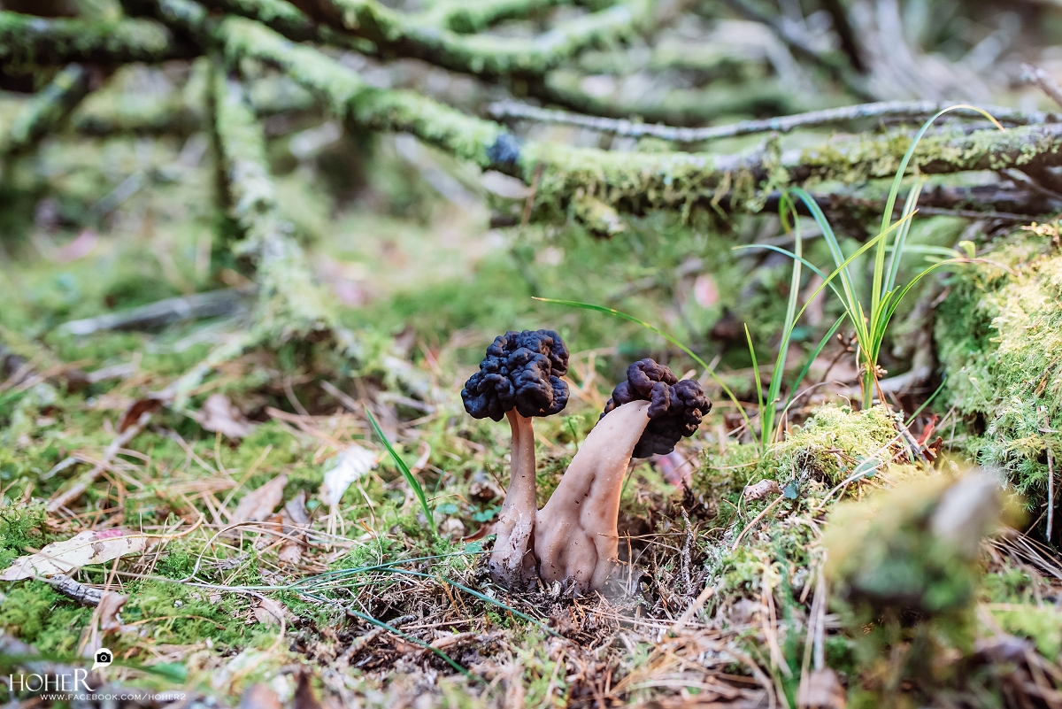 2026.03.21 sNaP(每日一拍)