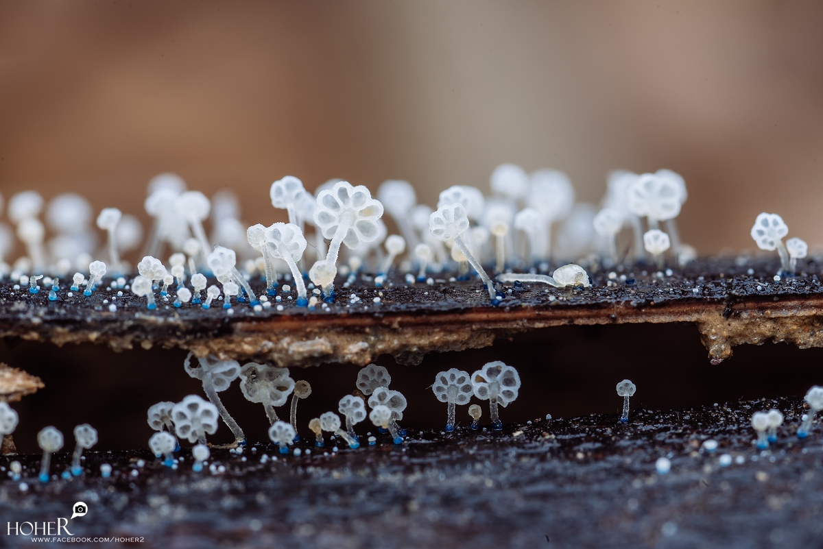 2026.04.09 sNaP(每日一拍)