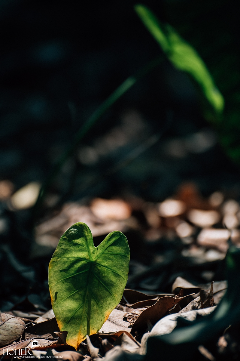 2026.03.30 sNaP(每日一拍)