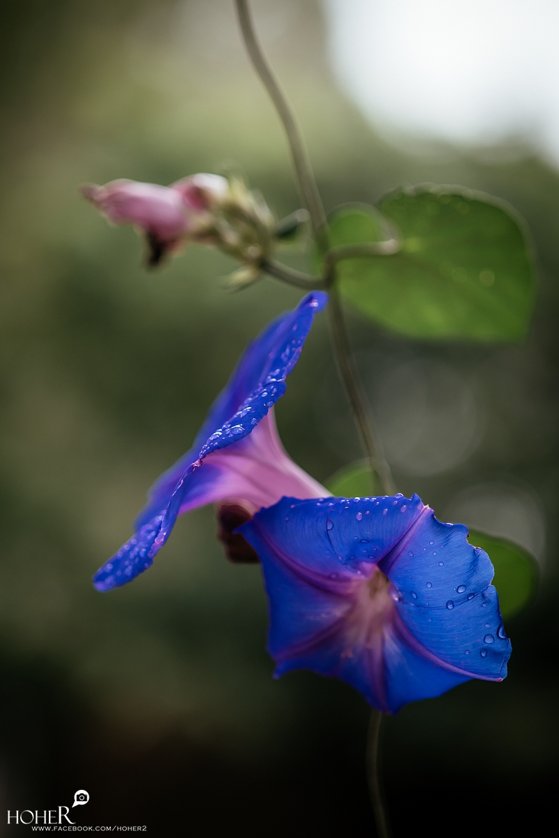 2023.04.03 sNaP(每日一拍)