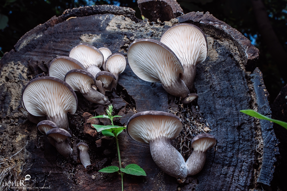 2026.04.05 sNaP(每日一拍)