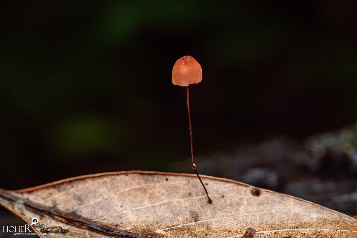 2026.04.06 sNaP(每日一拍)