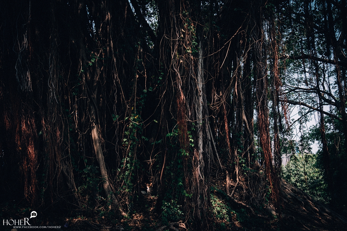 2026.03.31 sNaP(每日一拍)