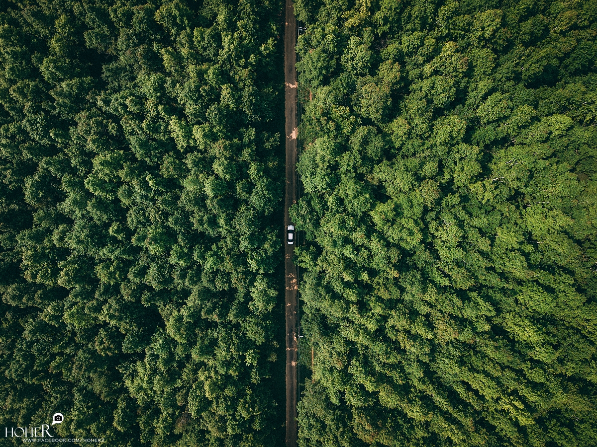 2026.03.26 sNaP(每日一拍)