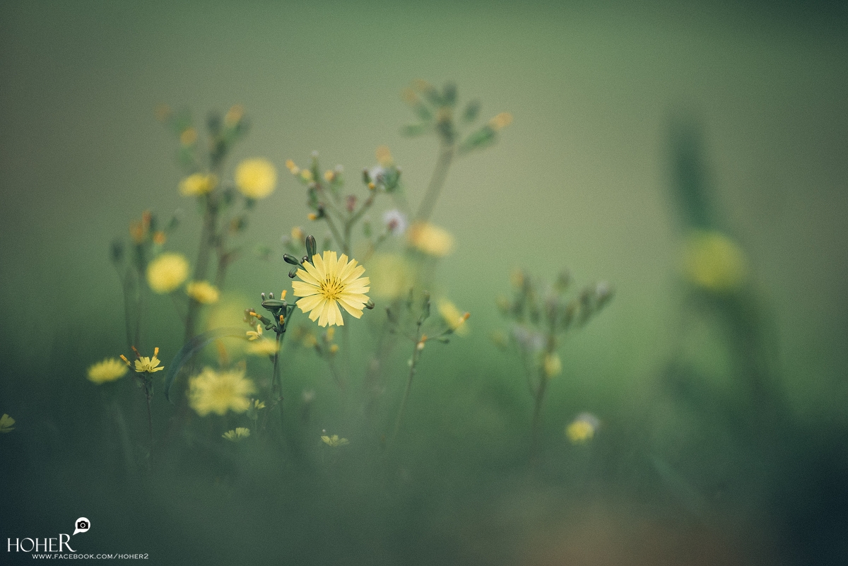 2026.03.24 sNaP(每日一拍)