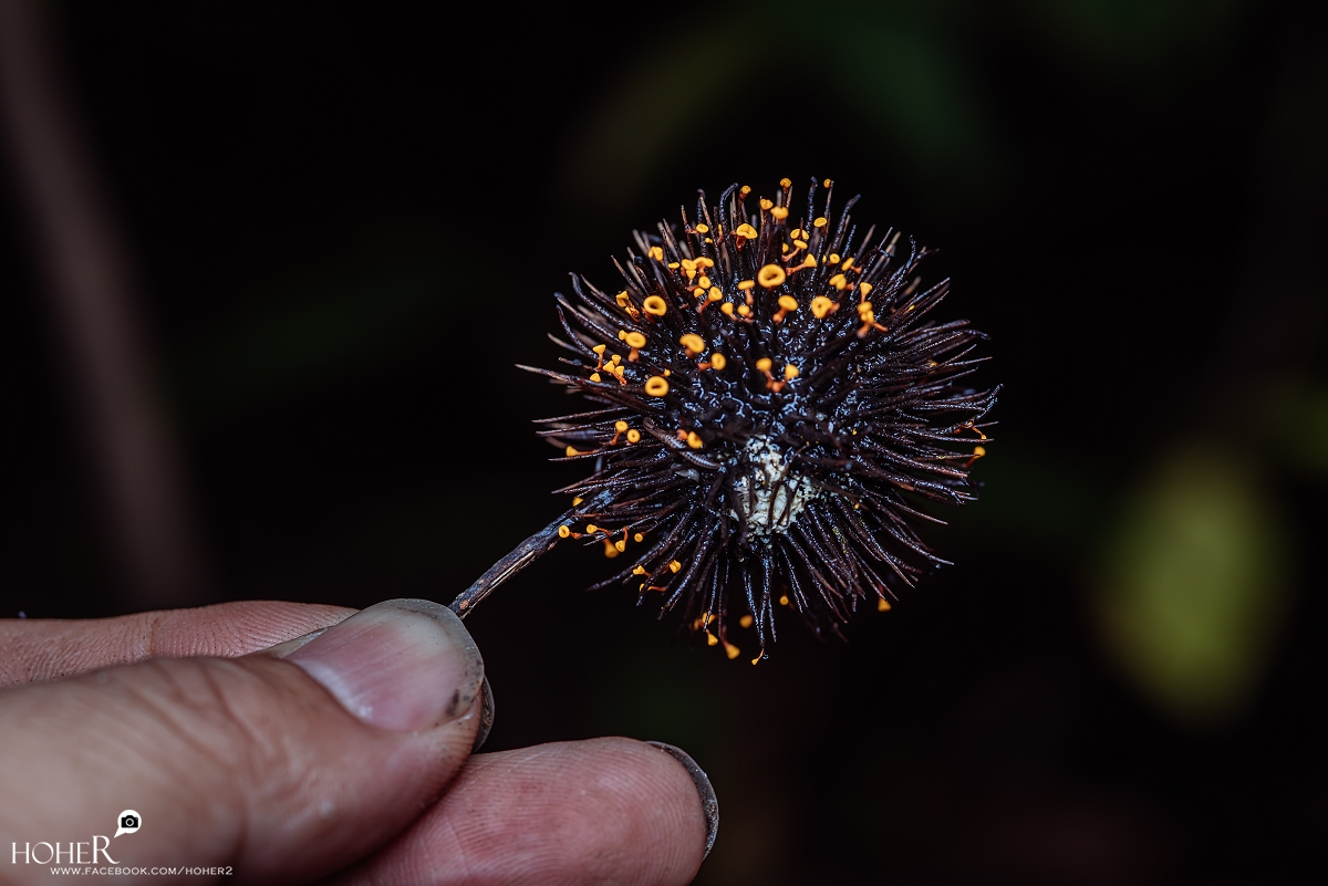 2026.04.07 sNaP(每日一拍)