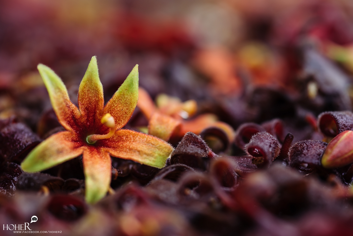 2026.04.08 sNaP(每日一拍)