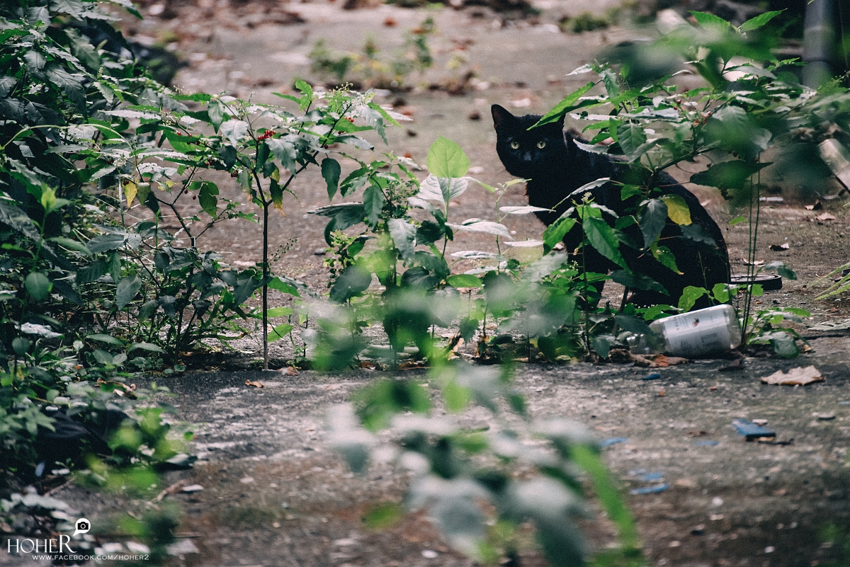 2026.03.28 sNaP(每日一拍)