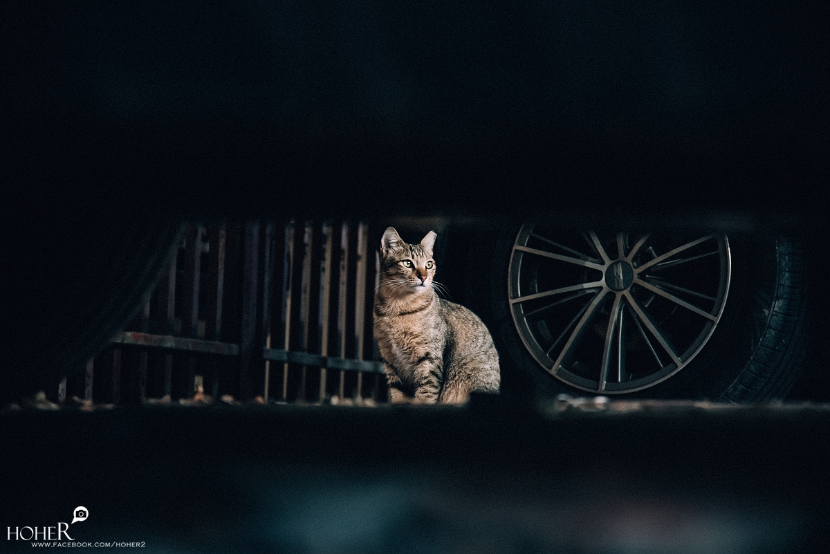 2026.04.01 sNaP(每日一拍)