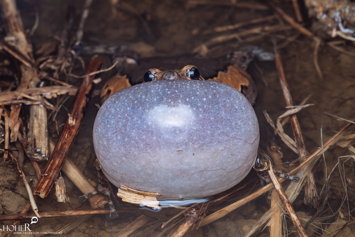 2026.04.04 sNaP(每日一拍)