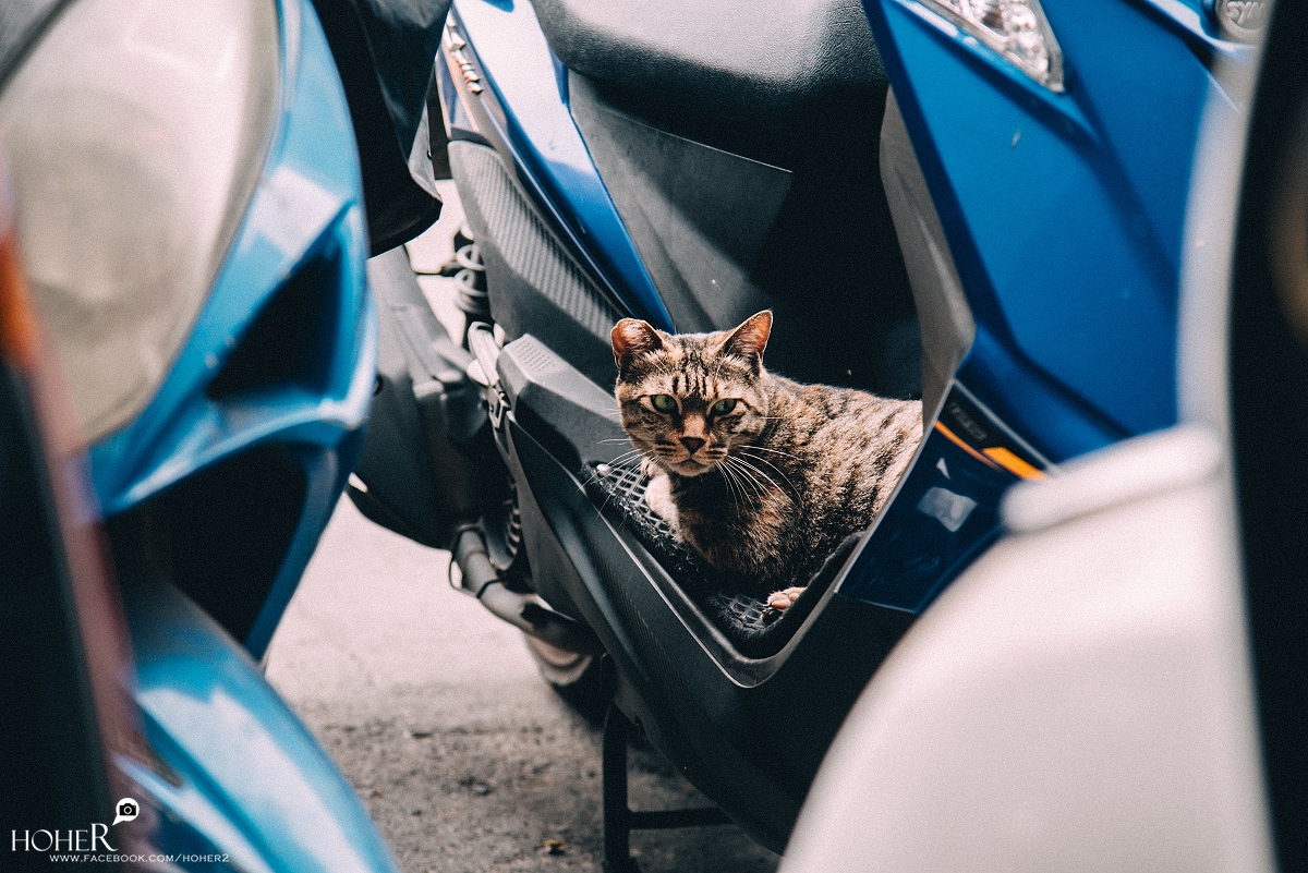 2026.03.27 sNaP(每日一拍)